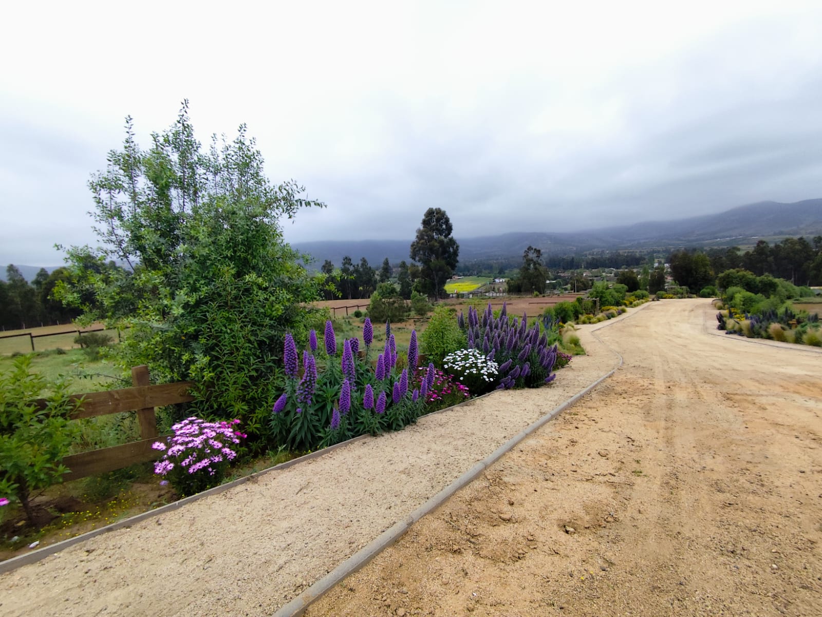 Vista 4 de Las Añañucas