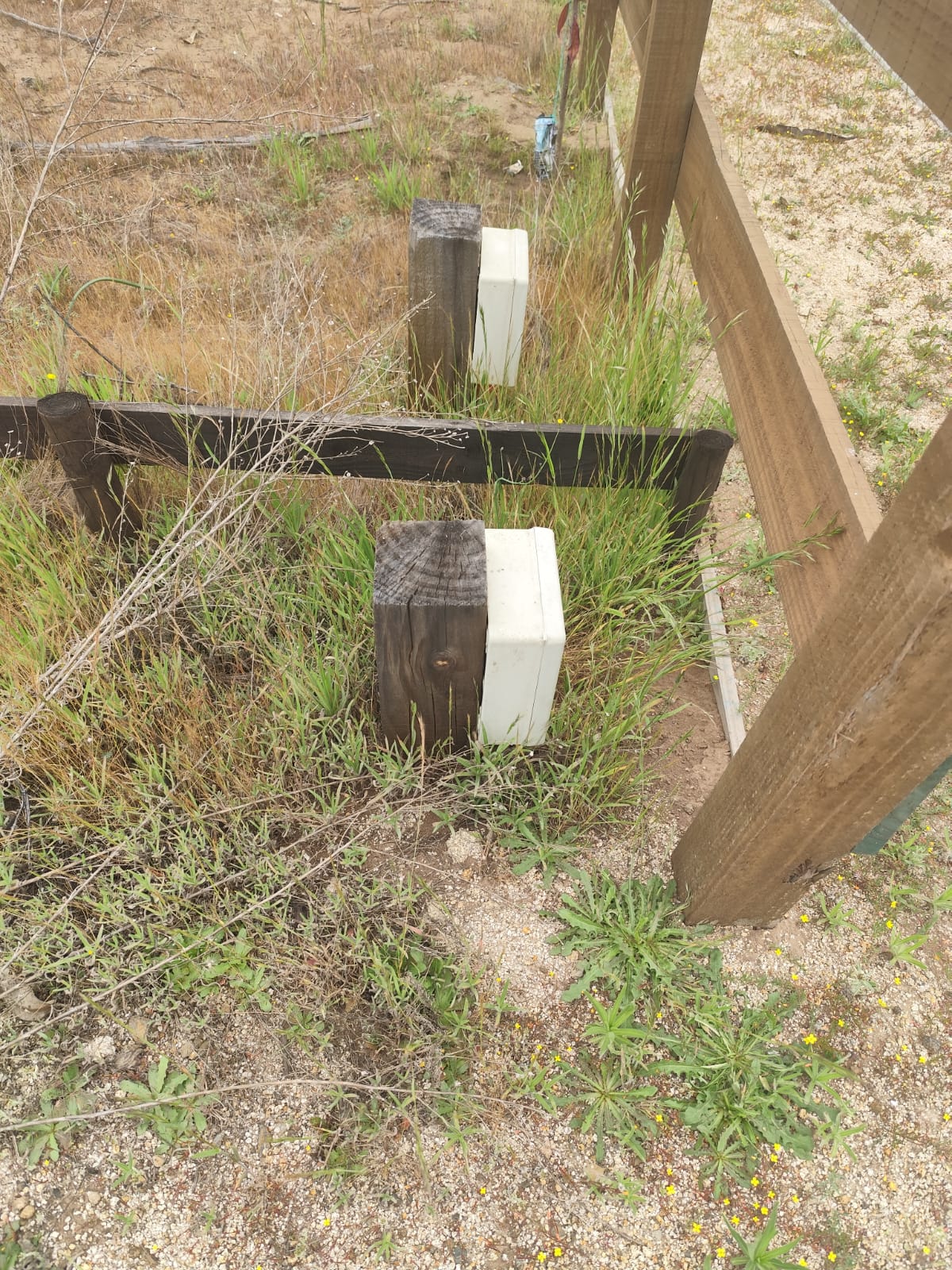 Vista 7 de Las Añañucas