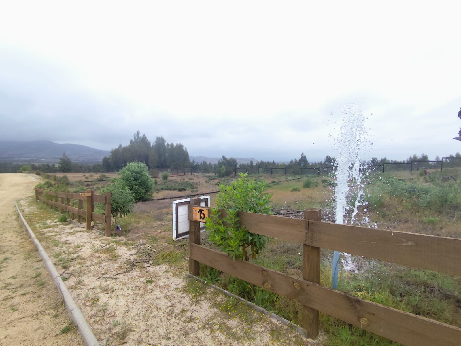 Vista 6 de Las Añañucas