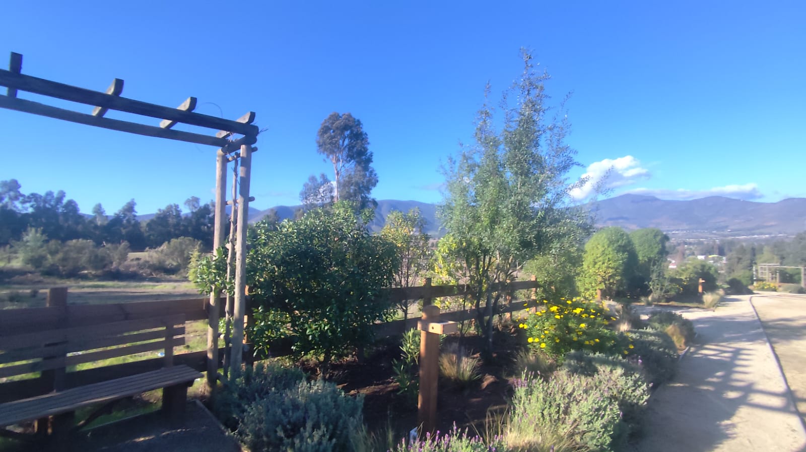 Vista 10 de Las Añañucas