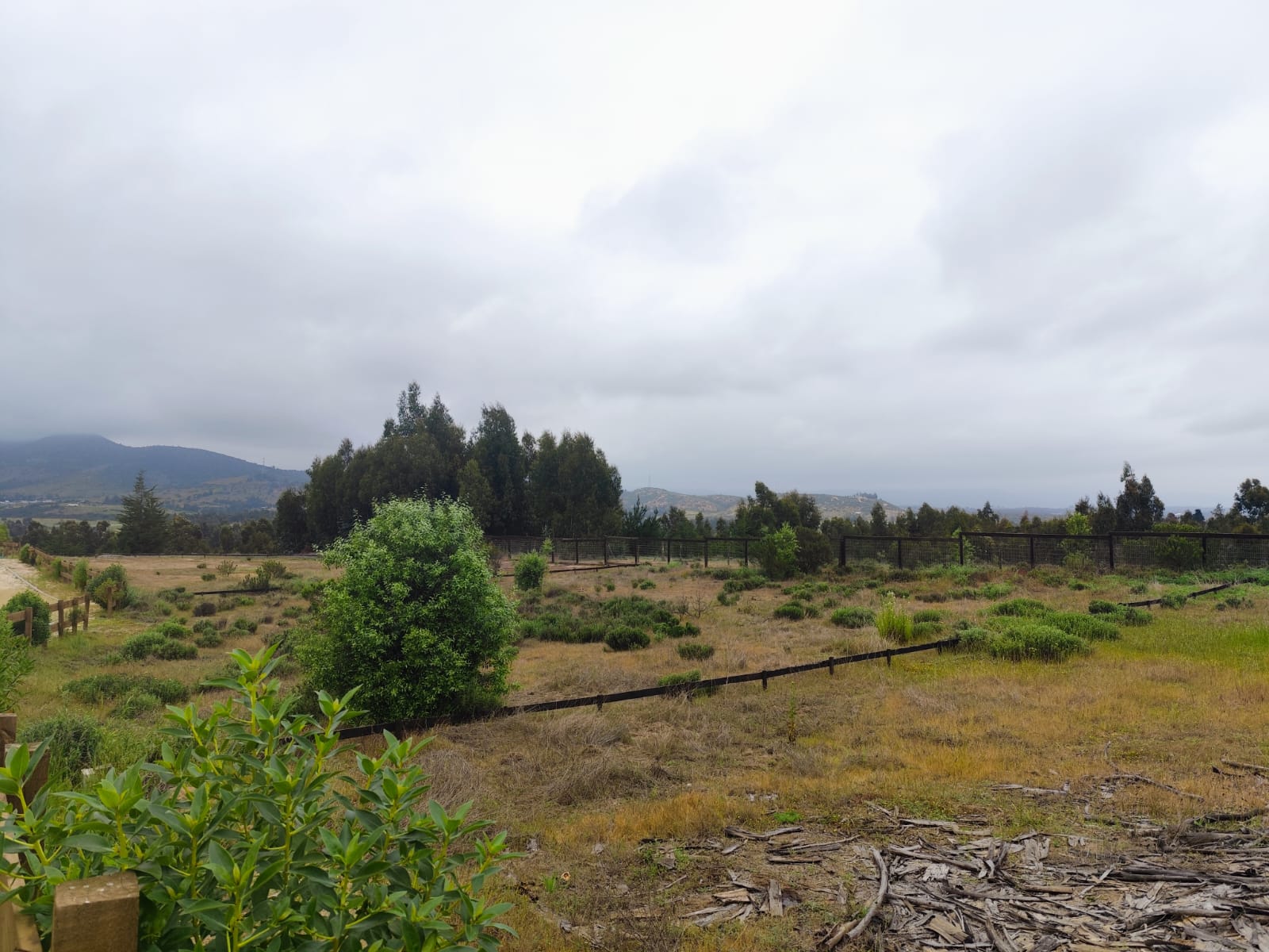 Vista 3 de Las Añañucas