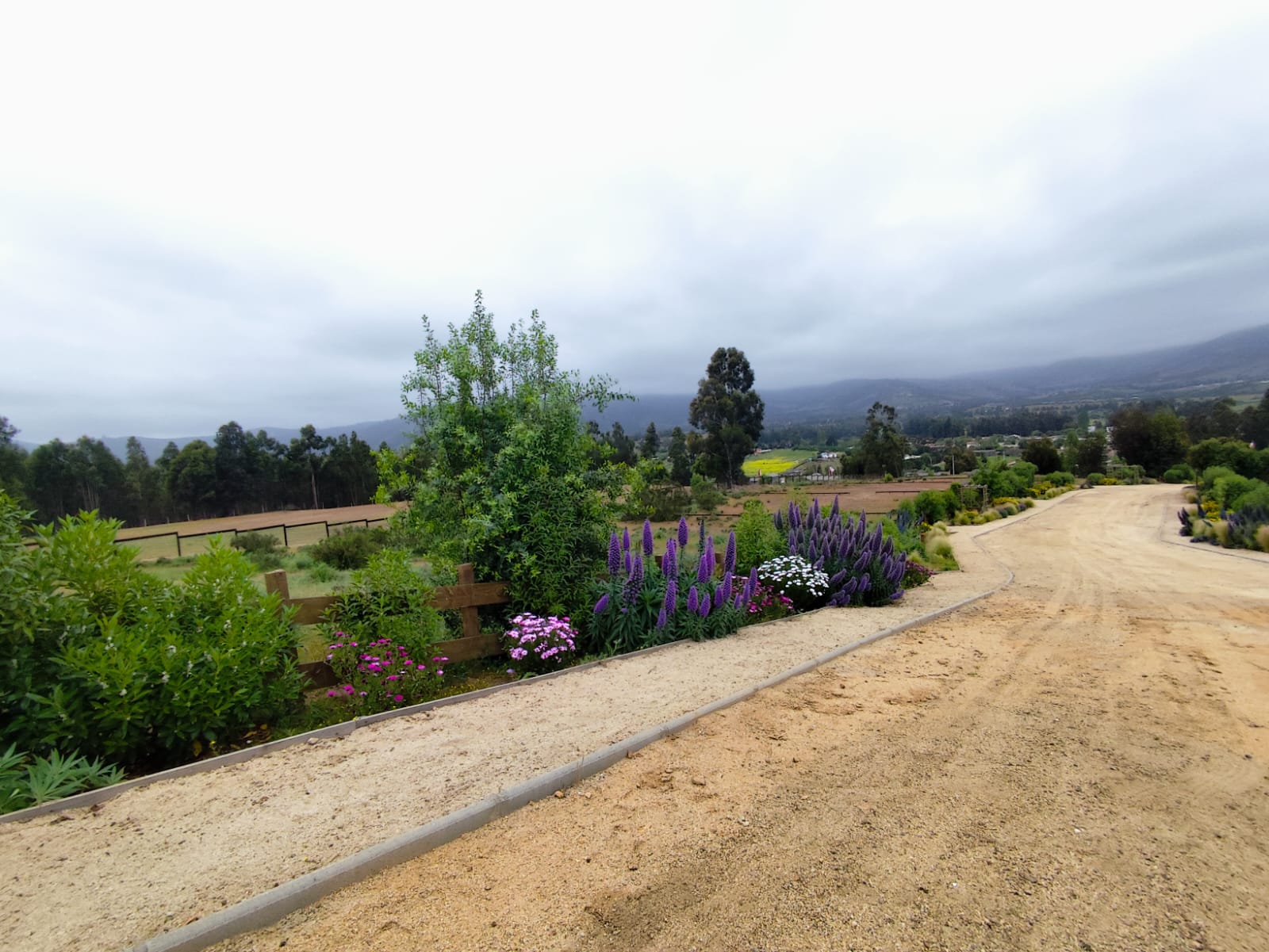 Vista 2 de Las Añañucas